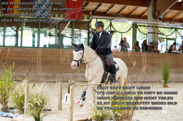s_K3F00922.JPG